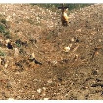 unk - Aerial Seeding - Nanaimo River - 2022015039 - jpg72 - 001