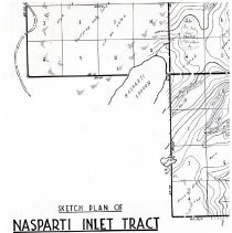 Map No 21; Sketch Plan of Nasparti Inlet Tract: Head of Nasparti Inlet: Rupert District - Vancouver Island;
