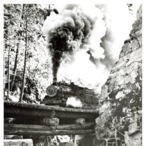 1942 - No. 1044 on Wooden Bridge - Copper Canyon - 2022075005 - jpg72 - 001