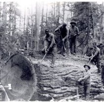 1870 - Logging Crew - Cowichan Lake - 1983002007a - jpg72 - 001
