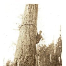 1936 - Rigger - Great Central Lake - 1988007005 - jpg72 - 001