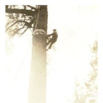 1936 - High Rigger - Great Central Lake - 1988007021 - jpg72 - 001