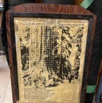 unk - Big Old Tree - Westholme - 1990039002 - not scanned - 001