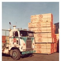 1980 - Doman Truck & Lumber - Duncan - 2007500023 - jpg72 - 001