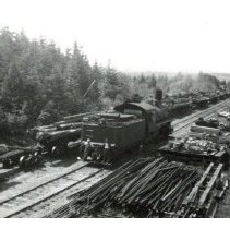 unk - Flatcars & Logs - Deep Bay - 2009210006 - jpg72 - 001