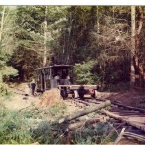 unk - No. 1 Ladybug - Ladysmith - 2016002001 - tiff600 - 001