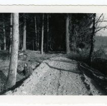 1960s - Before Tacks were Laid, East of Diamond - Duncan - 2016002003 - tiff600 - 001