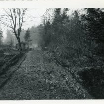 1960s - Before Tacks were Laid, West of Diamond - Duncan - 2016002004 - tiff600 - 001