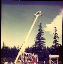 1955-madill spar tree-unk-2017003009c-jpg72-001