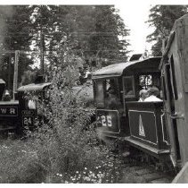 1958-64 - Susie & Samson at work - Deerholme - 2019040006 - jpg72 - 001