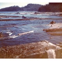 unk - Booming - Clayoquot Sound - 2020002027 - jpg72 - 001