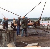 1983-85 - Group at Log Dump - Kennedy Lake - 2020002033n - jpg72 - 001
