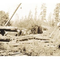 1934 - Truck & Sawmill - unk - 2022059019 - jpg72 - 001