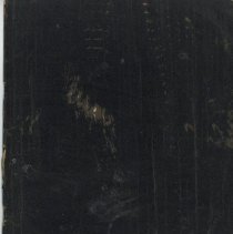 1931 - Daily Journal - unk - 1983009004 - jpg72 - 001