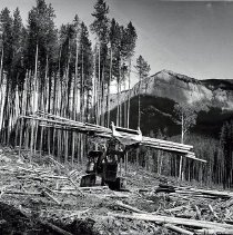 1969-Grapple Tractor-Cranbrook-2007200001C-jpg72-001