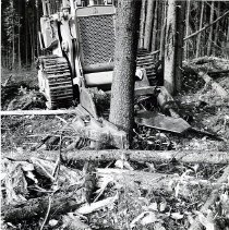 1967-Tree Shearer-BC-2007200001F-jpg72-001