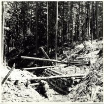 1964 - Building Bridge - unk - 2007200034 - jpg72 - 001