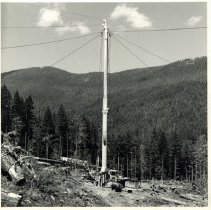 1964 - Spar in Forest - Sooke River - 2007200096 - jpg72 - 001