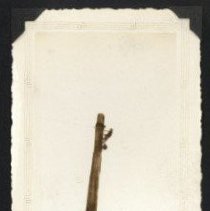 1935 - Camp 6 Youbou - Youbou - 2019018002 - jpg72 - 001