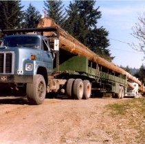 unk-two loads of spar trees-Wickheim Timber Yard-2019037004F-jpg72-001