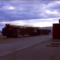 unk-Spar Trees Headed to San Diego-Ogden Point-2019037004G-jpg72-001