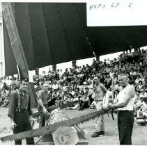 1067-Bucking Contest-La Ronde-2019037014E-jpg72-001