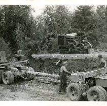 unk-Moving Donkey Sled-Cowichan Valley-2021040007d-jpg72-001