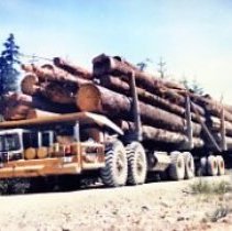 unk-Butler Mark 5-Vancouver Island-2022.128.002D-jpg72-001