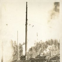 unk - loading donkey - BordeauxWA - 2023006004 - jpg72 - 001