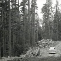 1966 - Truck Near Logs - Lake Cowichan - 2007200107 - jpg72 - 001