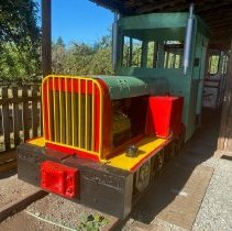 Locomotive, Gasoline