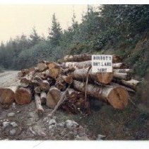 unk - Boudot's Dryland Sort - unk - 2020002039m - jpg72 - 001