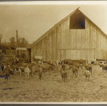 Barn with hay loft