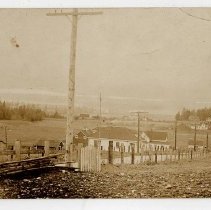 Photographic Postcard