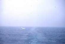 View from the front of ship.