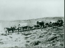 Line of wagons on the Overland Trail