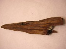 Wood, Fragment