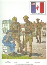 371st Infantry Regiment, 93rd Infantry Division