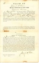 Application for Compensation for Slave