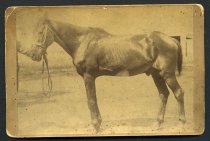 0985.13.02331 Obverse 1200dpi