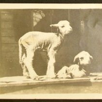 Book of Photos (157)