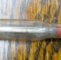 Thermometer (in tube with squeeze ball)