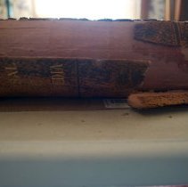 Universal Bible Encyclopædia ed. by William W. Davies