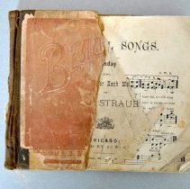 Beautiful Songs! By S.W. Straub