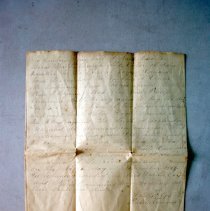 Agreement (Editha Cox and Philip Cummins)