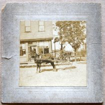 Boy in goat-drawn cart