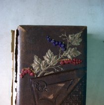 Album of Photographs (42)