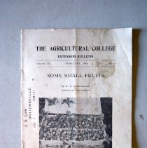 Agricultural College Extension Bulletin