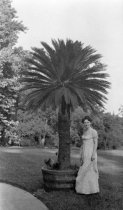 Agnes Peter Mott with Sago Palm