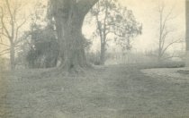 View of Q Street from East Side of House